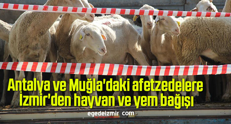 Antalya ve Muğla’daki afetzedelere İzmir’den hayvan ve yem bağışı