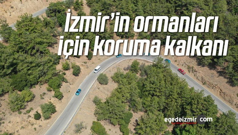 koruma kalkanı