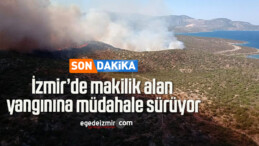 İzmir’de makilik alan yangınına müdahale sürüyor