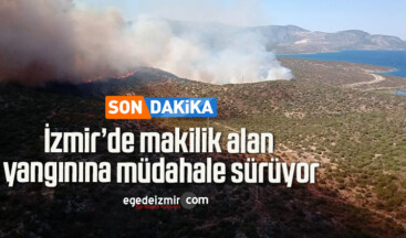İzmir’de makilik alan yangınına müdahale sürüyor