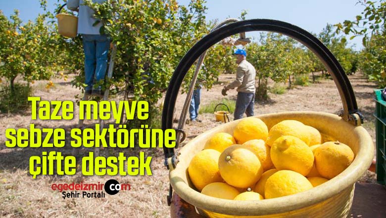 meyve sebze