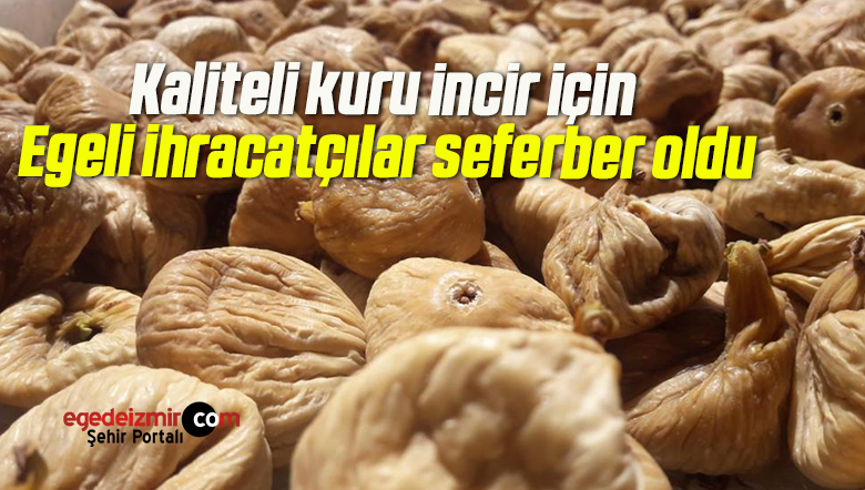 seferber oldu