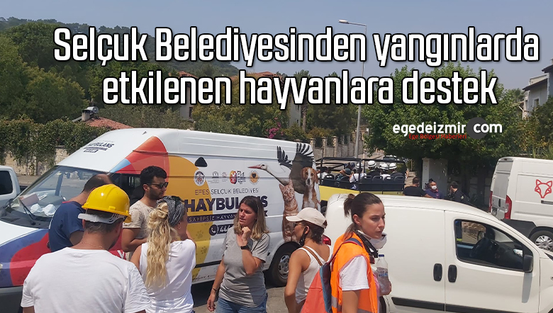 selçuk