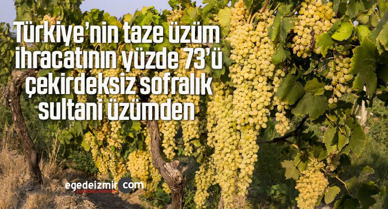 Türkiye’nin taze üzüm ihracatının yüzde 73’ü çekirdeksiz sofralık sultani üzümden