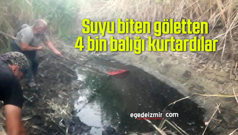suyu biten