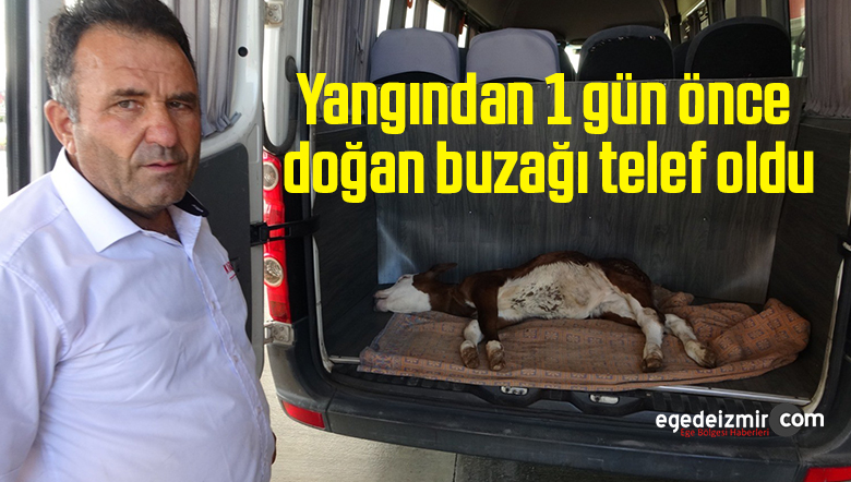 telef