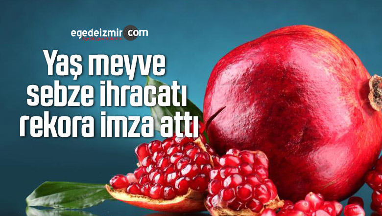 yaş meyve