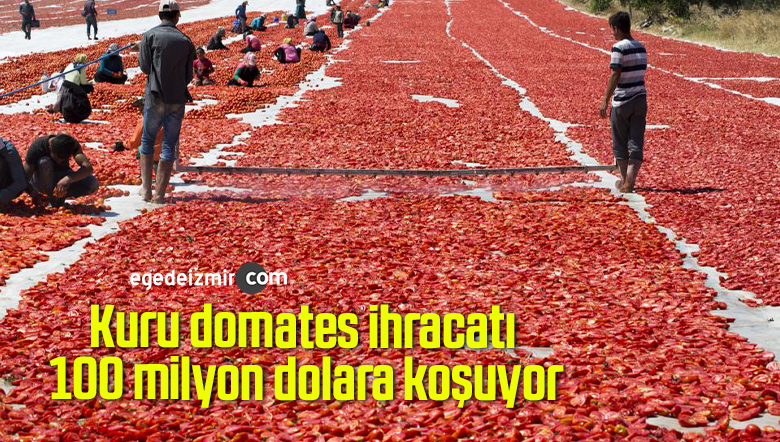Kuru domates ihracatı