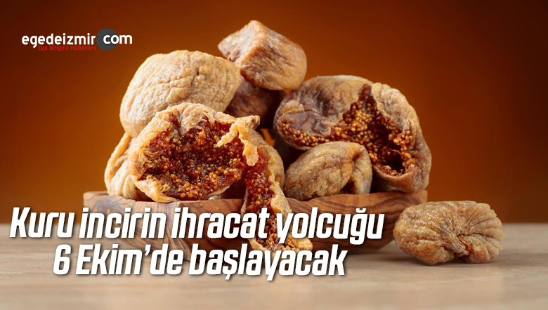 Kuru incirin