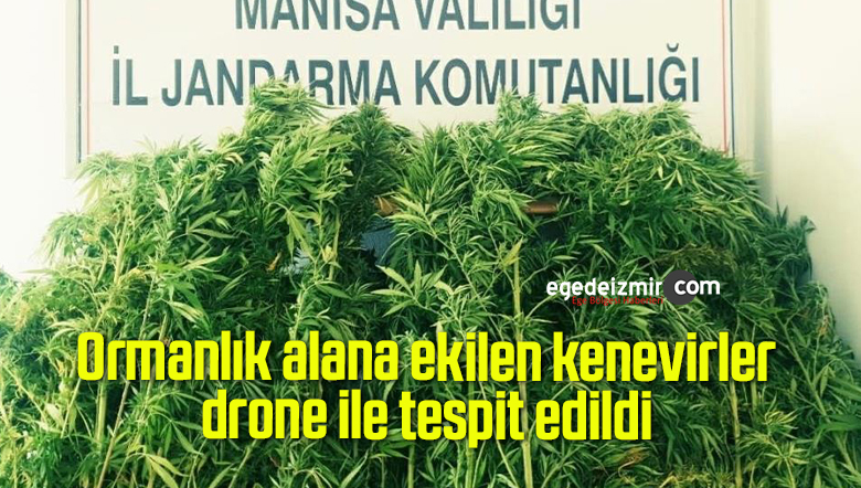 drone ile