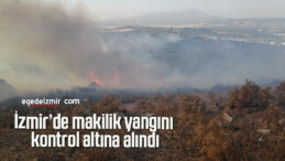 İzmir’de makilik yangını kontrol altına alındı