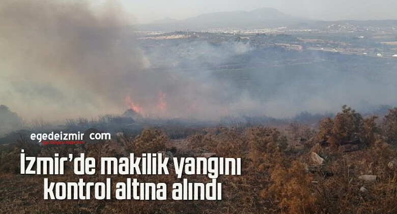 İzmir’de makilik yangını kontrol altına alındı