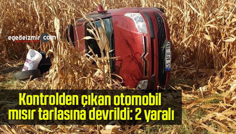 mısır tarlasına