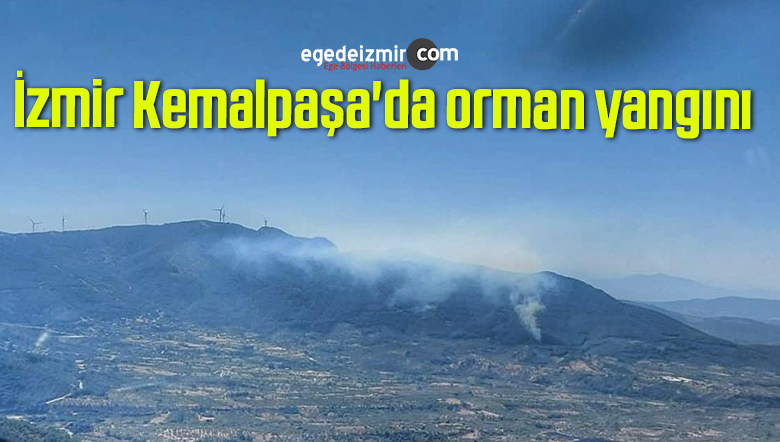 orman yangını