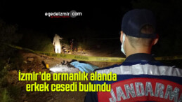 İzmir’de ormanlık alanda erkek cesedi bulundu