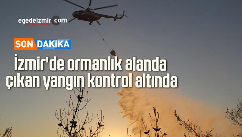 ormanlık alanda