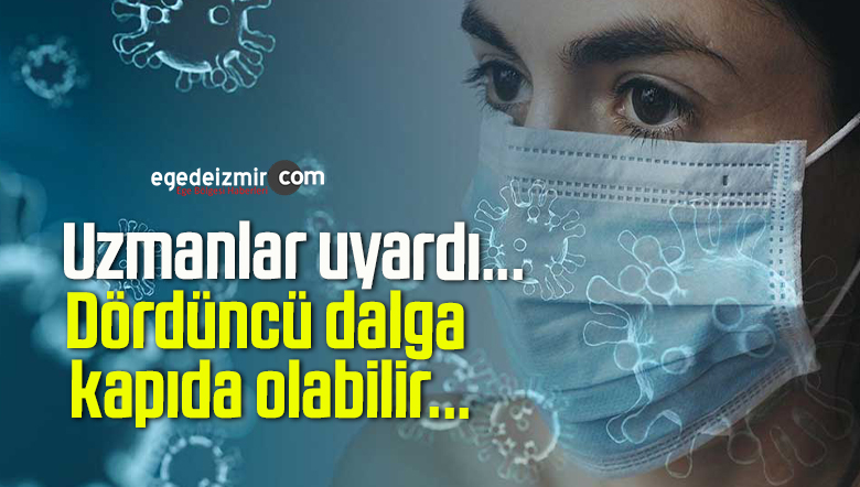 uzmanlar