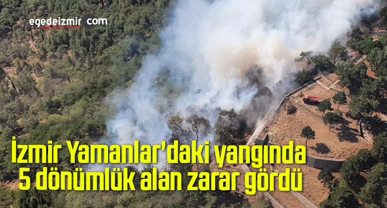 İzmir Yamanlar’daki yangında 5 dönümlük alan zarar gördü