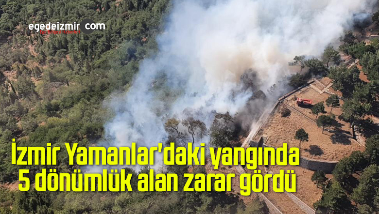 İzmir Yamanlar’daki yangında 5 dönümlük alan zarar gördü