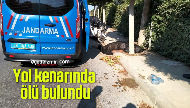 yol kenarında