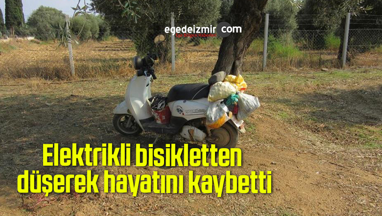 Elektrikli