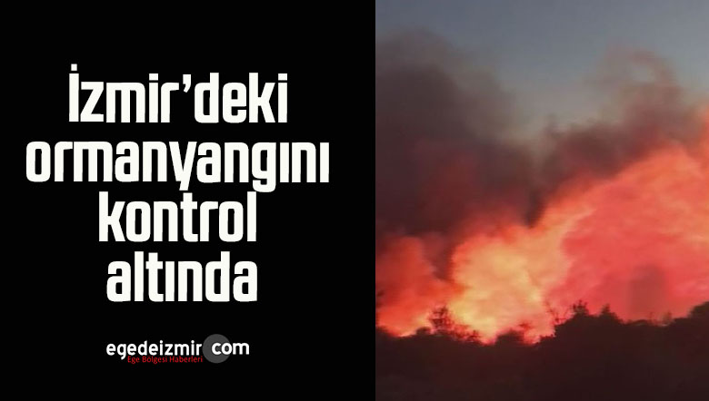 orman yangını