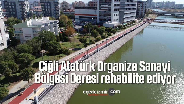 rehabilite
