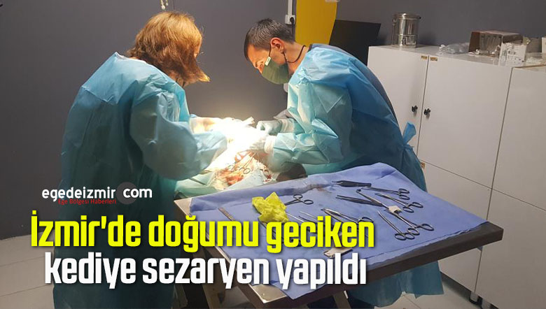 sezaryen