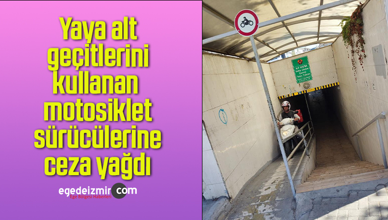 sürücülerine