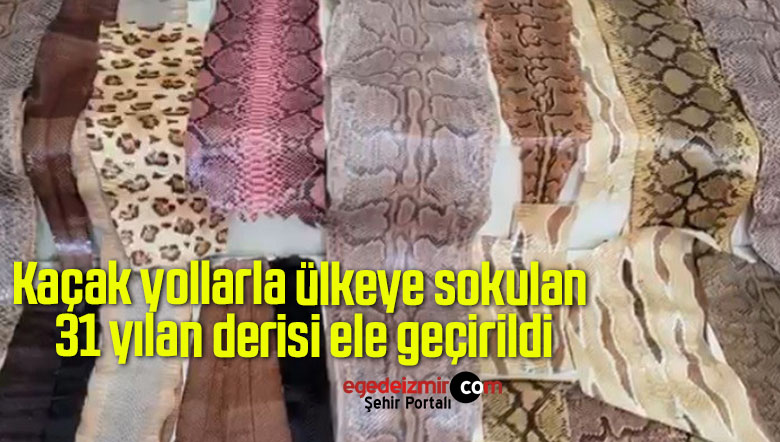 yılan