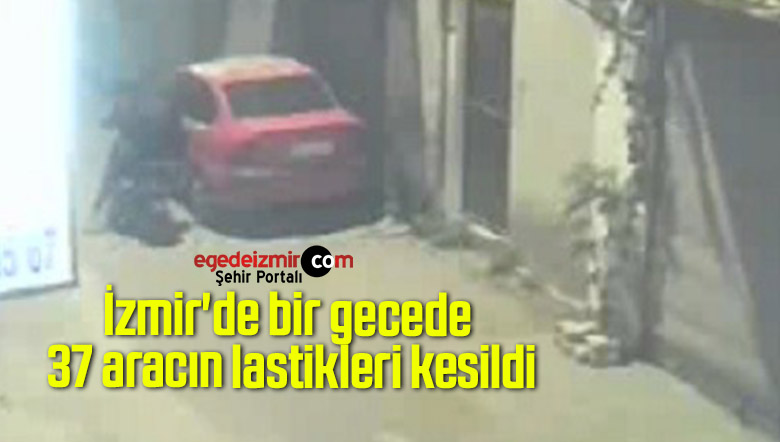 37 aracın