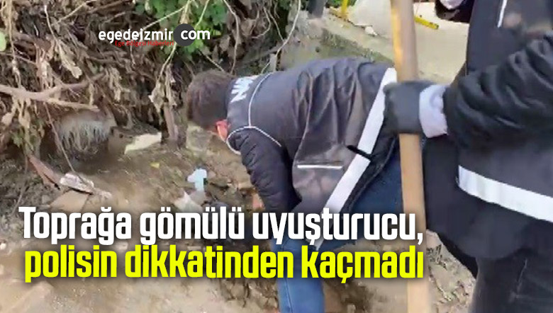 Toprağa gömülü