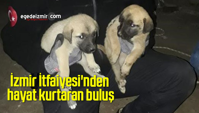 buluş