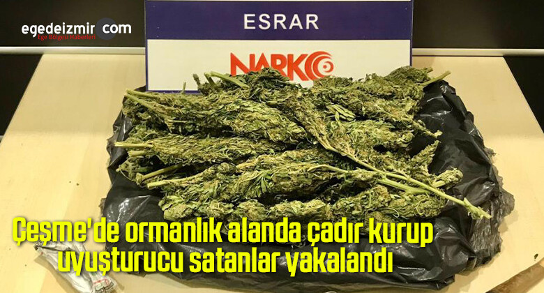 Çeşme’de ormanlık alanda çadır kurup uyuşturucu satanlar yakalandı