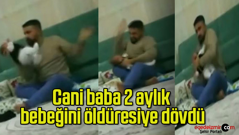 cani baba