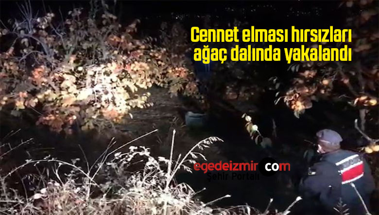 cennet