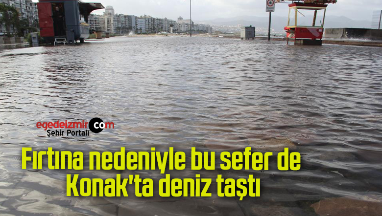 deniz taştı