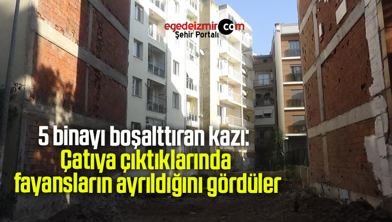 fayansların