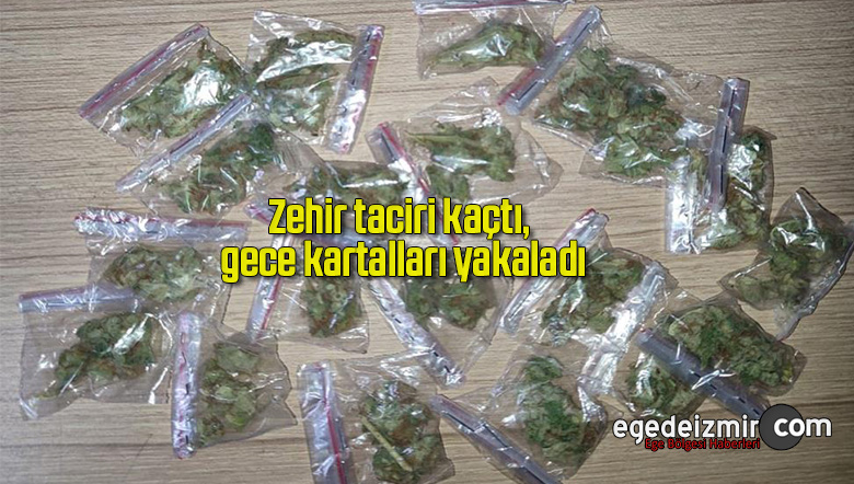 gece kartalları
