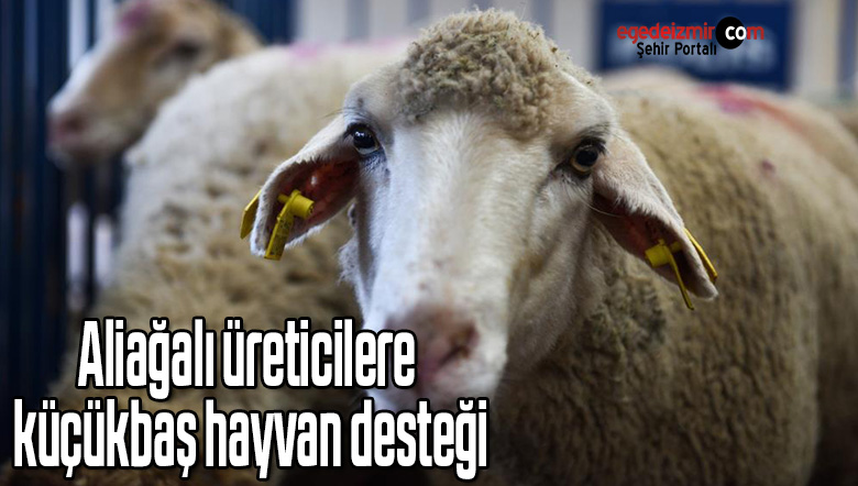 hayvan
