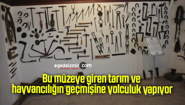 müzeye giren