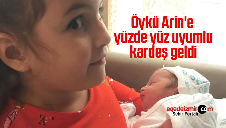 öykü arin