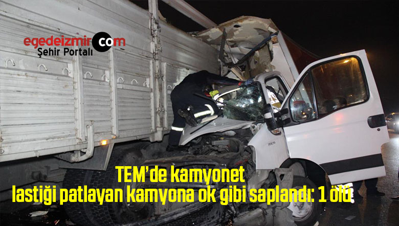 tem