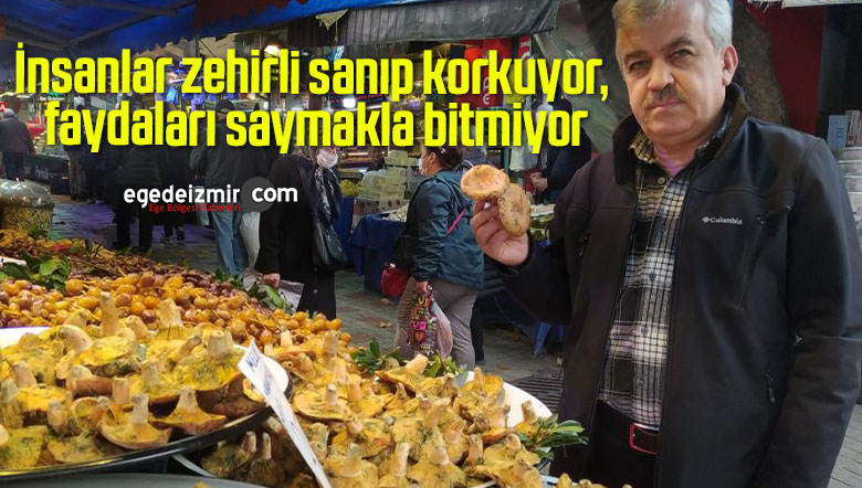 zehirli sanıp
