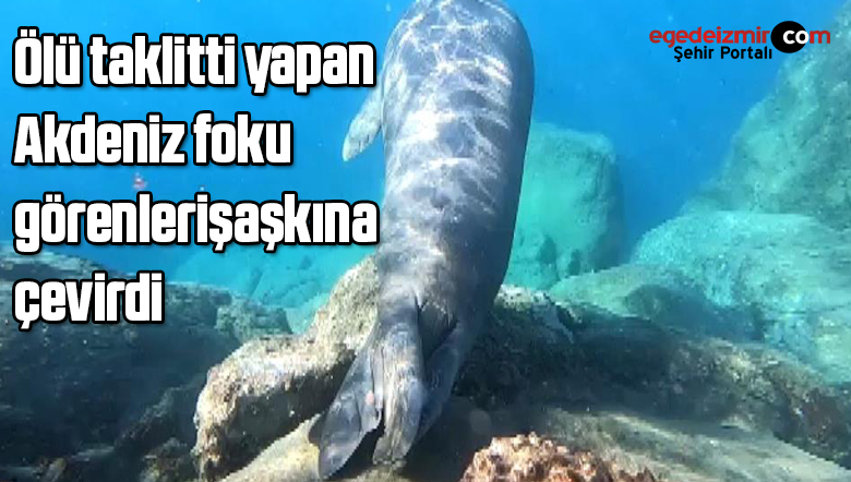 akdeniz