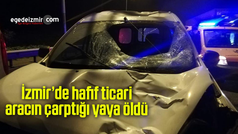 aracın çarptığı