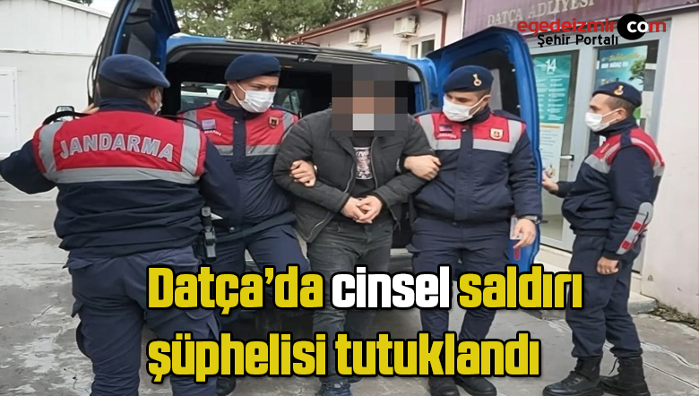 cinsel