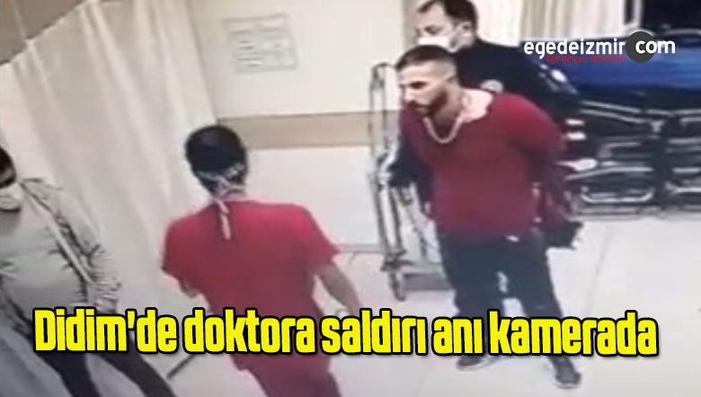 doktor
