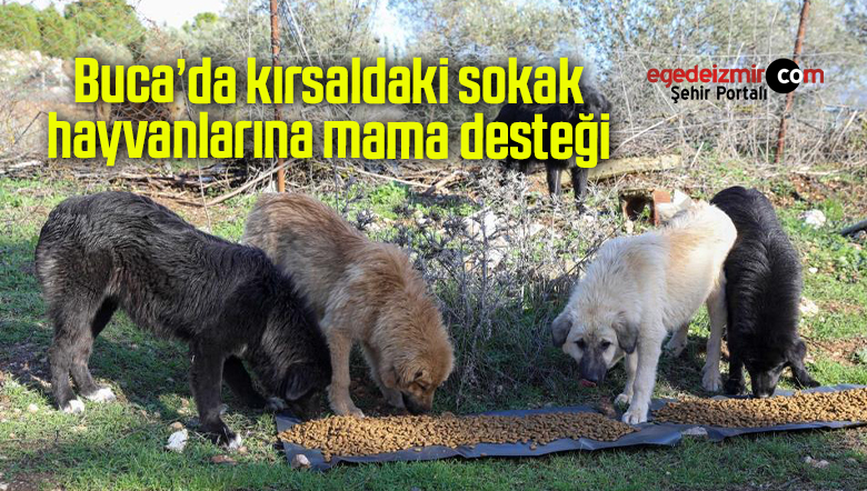 kırsaldaki