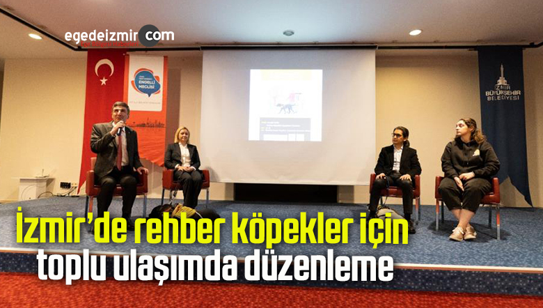 rehber köpekler